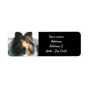 Etiqueta Sheepdog de Shetland