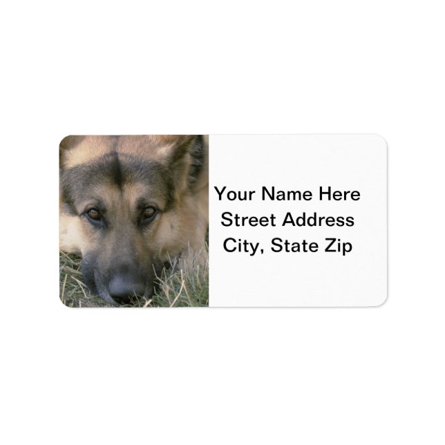 Etiqueta Shepard Alemão (Frente)