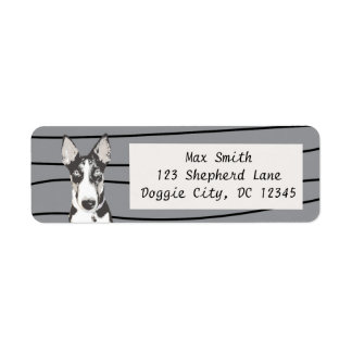 Etiqueta Shepherd Border Collie