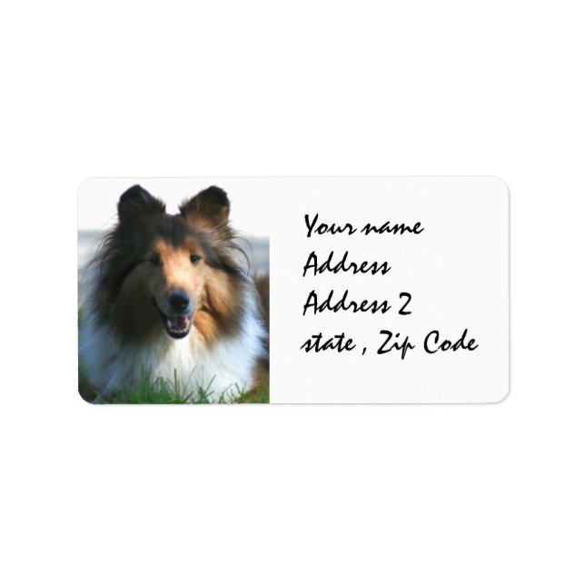 Etiqueta Shetland Sheepdog (Frente)