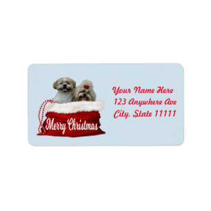 Etiqueta Shih tzu Address Label, Natal