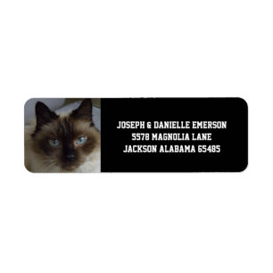 Etiqueta Siamese Kitty Address Labels