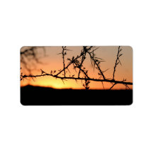 Sol africano com silhueta espinhal de acácia