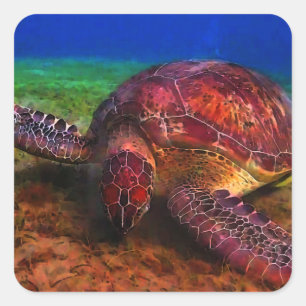 Etiqueta solitária da tartaruga de mar