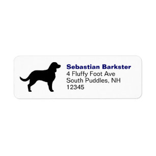 Etiqueta Spaniel de água americana