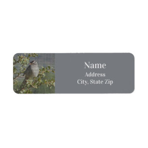 Etiqueta Sparrow na Natureza do Padrão Mosaico de Foto do B