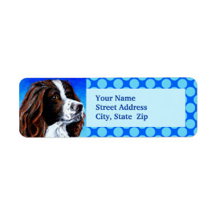 Etiqueta Springer Spaniel