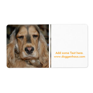 Etiqueta Sushi Cocker Spaniel