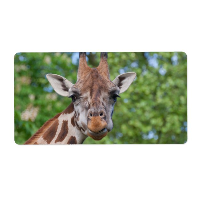 Etiqueta Sweet Curios Giraffe (Frente)
