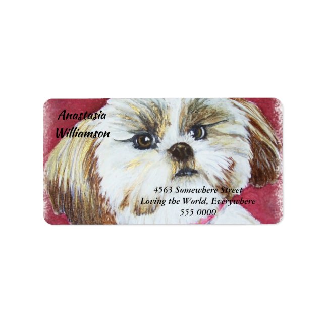 Etiqueta Sweet Shih Tzu ENDEREÇO (Frente)