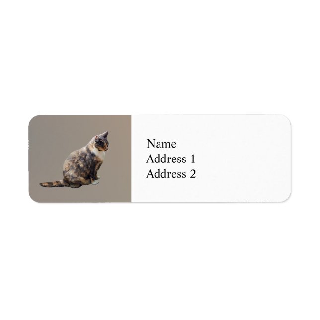 Etiqueta Tabby Cat em tons de marrom (Frente)