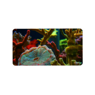 Etiqueta tanque coral do aquário da imagem da água salgad