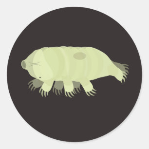 Etiqueta Tardigrade