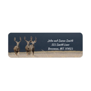 Etiqueta Three Mule Deer Bucks Return Address Label