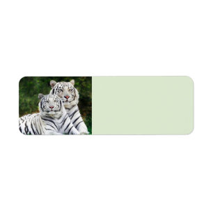 Etiqueta Tigres brancos