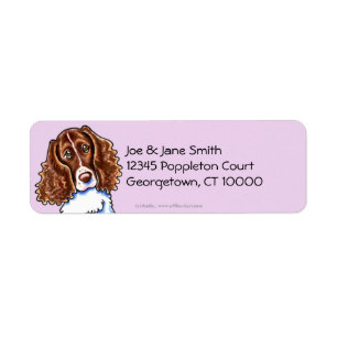 Etiqueta Tijolo Sólido Springer Spaniel