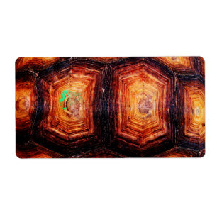 Etiqueta Tortoisinferno