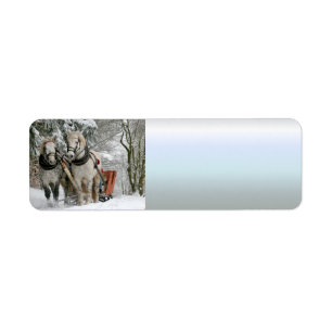 Etiqueta trenó+corrida,neve,cavalo,inverno,branco,galope,