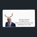 Etiqueta Trump Christmas: Senhor Presidente<br><div class="desc">Ele era o candidato oficial do GOP, mas alguns republicanos acharam que ele não era o candidato certo. Ele não ganhou o voto popular e, devido a algum sistema eleitoral ultrapassado, estamos presos a ele por 4 anos. E sua (3ª) esposa? Uma ex-modelo que costumava ter a sua própria carreira...</div>