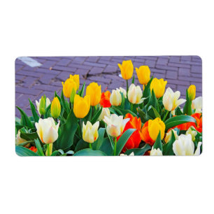 Etiqueta Tulipa