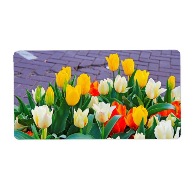 Etiqueta Tulipa (Frente)