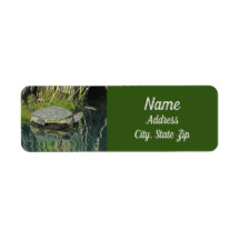 Turtle Lovers Wildlife Water Refletion Address (En