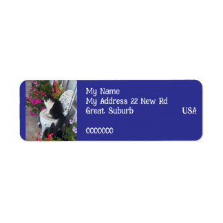 Etiqueta Tuxedo cat Cats Art Return Address Labels Navy