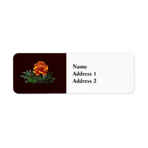 Etiqueta Um Marigold Laranja com Dicas Amarelas