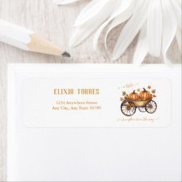 Etiqueta Um Pouco De Abóbora Chá de fraldas Sexo Neutro