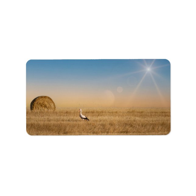 Etiqueta Uma cegonha branca (Frente)