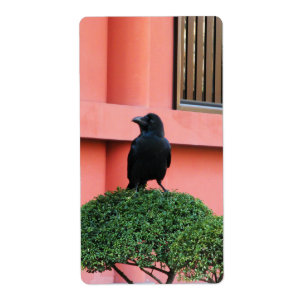 Etiqueta Uma Selva De Grande Porte Uma Perca Numa Árvore Nu