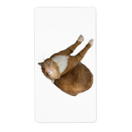 Etiqueta Upside-Down Sunshine