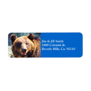 Etiqueta Urso de Brown grande