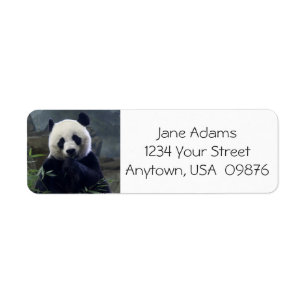 Etiqueta Urso de panda bonito, personalizado