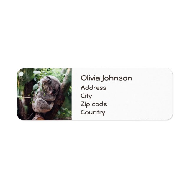 Etiqueta Urso Koala bonito relaxando em uma árvore (Frente)