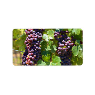 Etiqueta Uvas