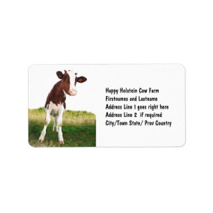 Etiqueta Vaca de leiteria - Brown pintado & Holstein branco