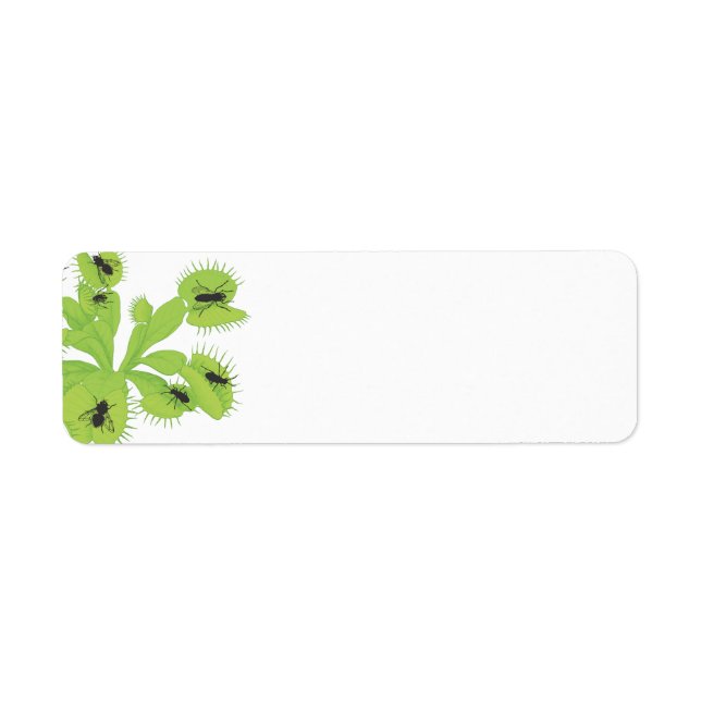 Etiqueta Venus Flytrap com Rótulos de Moscas (Frente)