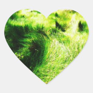 Etiqueta verde do campo