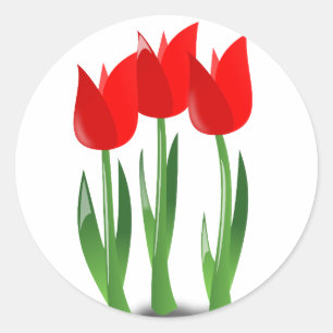 Etiqueta vermelha das tulipas