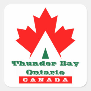 Etiqueta vermelha do viagem da etiqueta da bagagem