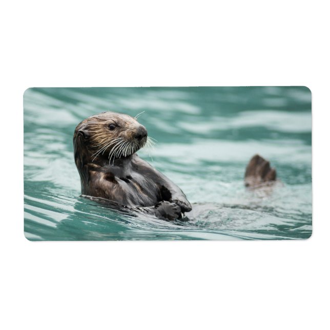 Etiqueta Vigiando a lontra marítima (Frente)