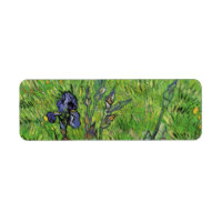 Vincent van Gogh - Iris
