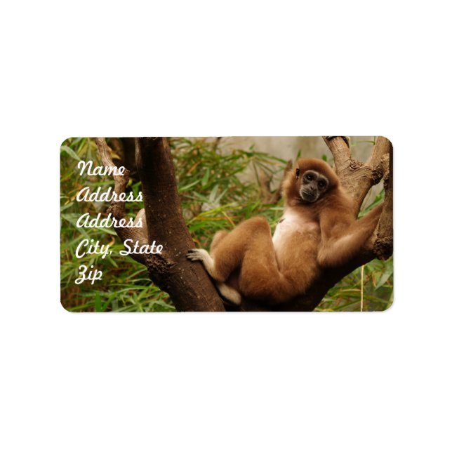 Etiqueta Vinheta de Endereços de Macaco (Frente)