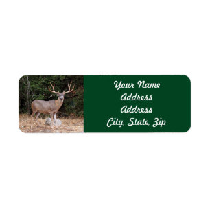 Etiqueta Vinheta de Endereços de Retorno de Deer