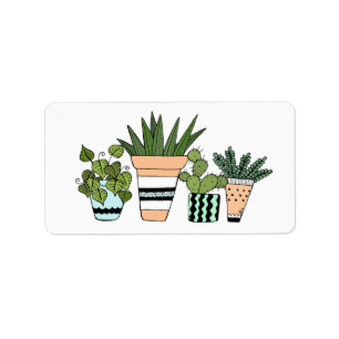Etiqueta Vinheta Decorativa Botânica