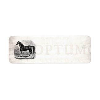 Etiqueta Vintage 1800s Horse - Modelo Morgan Equestrian