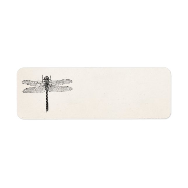Etiqueta Vintage American Dragonfly Dragon Modelo (Frente)