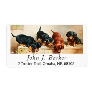 Etiqueta Vintage Cute Dachshund