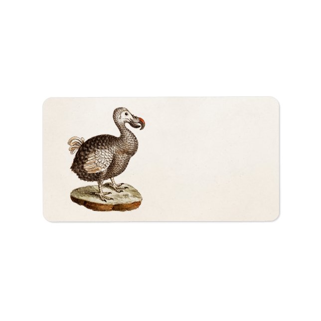 Etiqueta Vintage Dodo Bird Ilustration 1700s Dodo Birds (Frente)